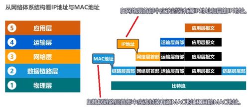數(shù)據(jù)鏈路層（下） 核心功能與協(xié)議分析
